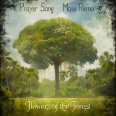 Prayer Song (Mose Remix) artwork