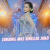 Tanjung Mas Ninggal Janji - Single, 2023