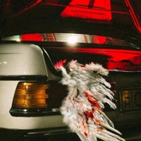 ANGYAL - Single - Beatrick, Co Lee & Miller David