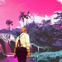 Don't Make It Weird, Vol. 2 - Nsty VHS