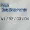 C3 - Dub Shepherds & Pilah lyrics