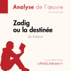 Zadig ou la Destinée de Voltaire (Analyse de l'oeuvre) - lePetitLitteraire & David Noiret