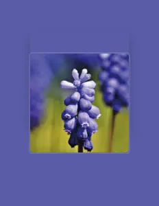 Poslechněte si interpreta FLOWER MUSIC, sledujte hudební videa, přečtěte si životopis, podívejte se na data turné a další informace.