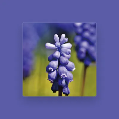 Listen to FLOWER MUSIC, watch music videos, read bio, see tour dates & more!