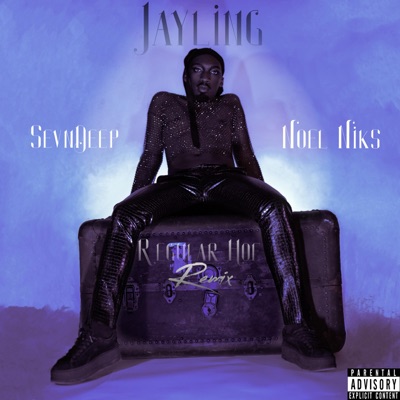 Regular Hoe (feat. Sevndeep & Noel Niks) [Remix] - Single