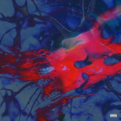 The David Complex - EP