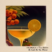 As Cool As You Please - EP - Rocomoco & The Hidden