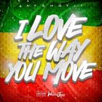 I Love the Way You Move - Single - Jayshotit