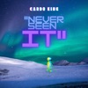 Never Seen It - Single