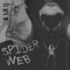 SPIDER WEB (Super Slow) [feat. Affiy & dante] - Single