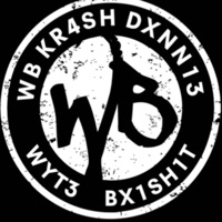 V1S1XNS (feat. $H4N3 ®) - Single - WB KR4SH DXNN13