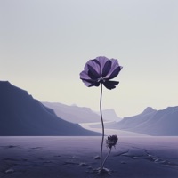 Mirage - Single - yermo7