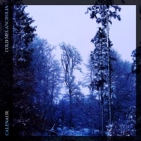 Cold Melancholia - EP - Calenaur