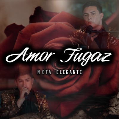 Amor Fugaz (En Vivo) - Single