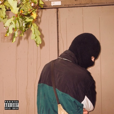 Living In Adversity - Single