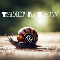 Takin' It Slow - Bassguru