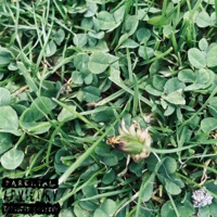 Hurting - Single - Deadwrong