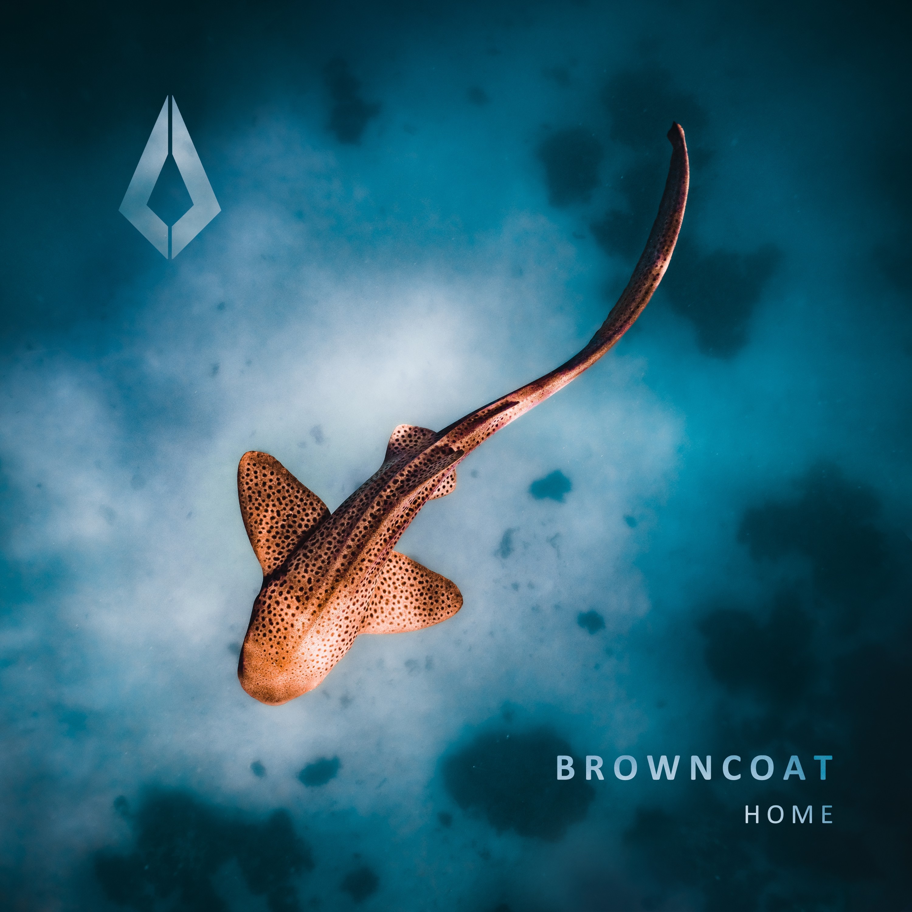 Home - Single