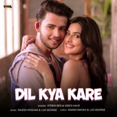 Dil Kya Kare artwork