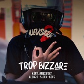 Trop Bizarre (feat. Alonzo, Sadek & Kofs) artwork