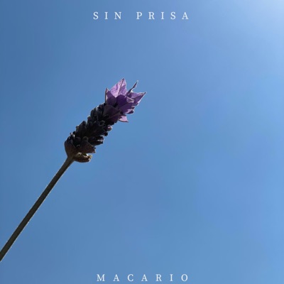 Sin Prisa - Single
