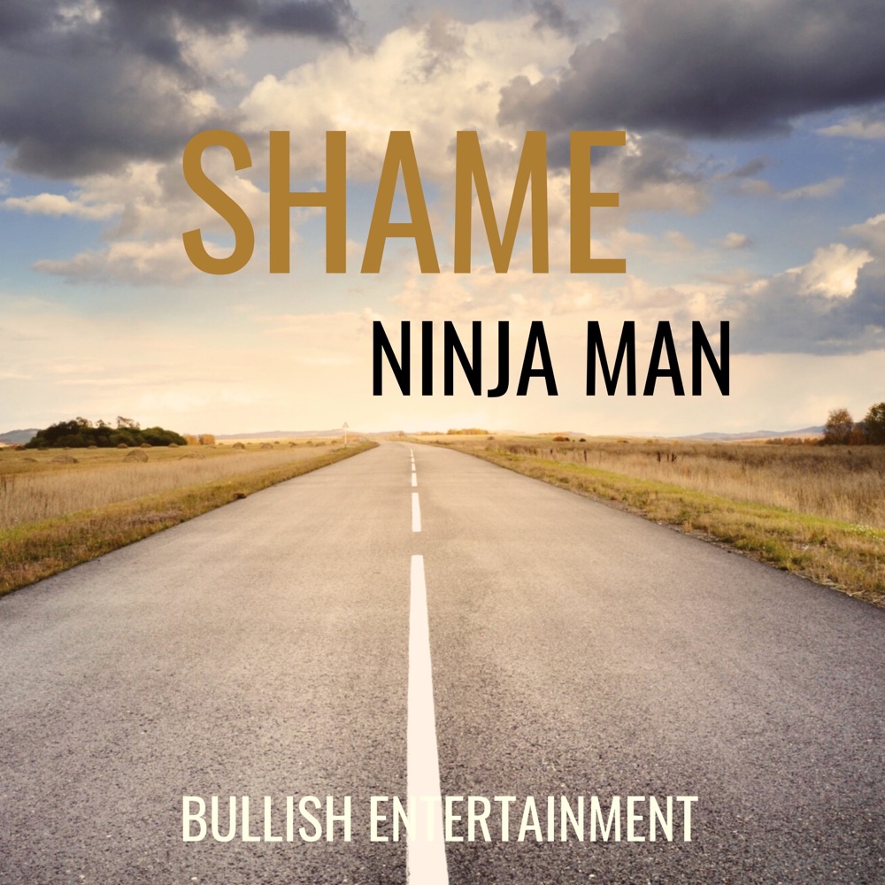 Обложка альбома «Shame - Single» — Ninja Man