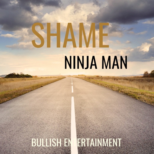 Shame - Single
