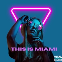 This Is MiaMi (feat. Zion A Piagetti) - Single - Dj Virtual