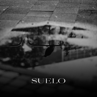 Suelo (feat. Zoodaka) - Single