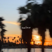 Always - Single - Onbar