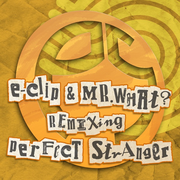 Perfect Stranger (Remixes) - EP