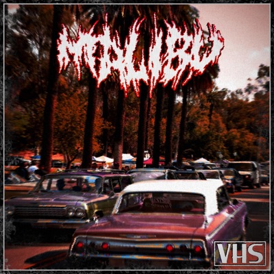 MALIBU (feat. HugoMasked) - Single