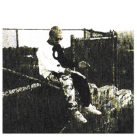 See Through Signs - Single - Solar Sam