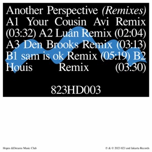 another perspective (Remixes) - EP