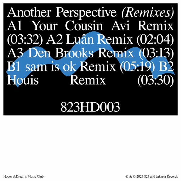 another perspective (Remixes) - EP