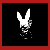 Open Sight - Single - Pmy