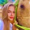 Rita Zebra