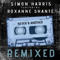 Never B Another -The Remixes (feat. Roxanne Shante) - EP - Simon Harris