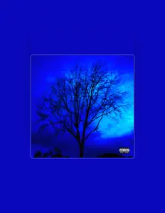 CEELVA सुनें, म्यूज़िक वीडियो देखें, बायो पढ़ें, दौरे की तारीखें और बहुत कुछ देखें!