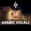 Arabic Vocals - Single