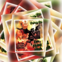 Im Flying High - Single - Dub Side Dan