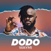 Dodo artwork