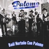 Baúl Norteño Con Palomo - Single