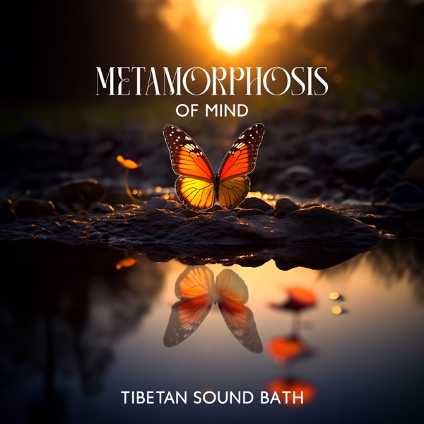 Metamorphosis of Mind: Tibetan Sound Bath to Transform Your Mindset and Elevate Your Life, Unblock Chi Flow and Stimulate It