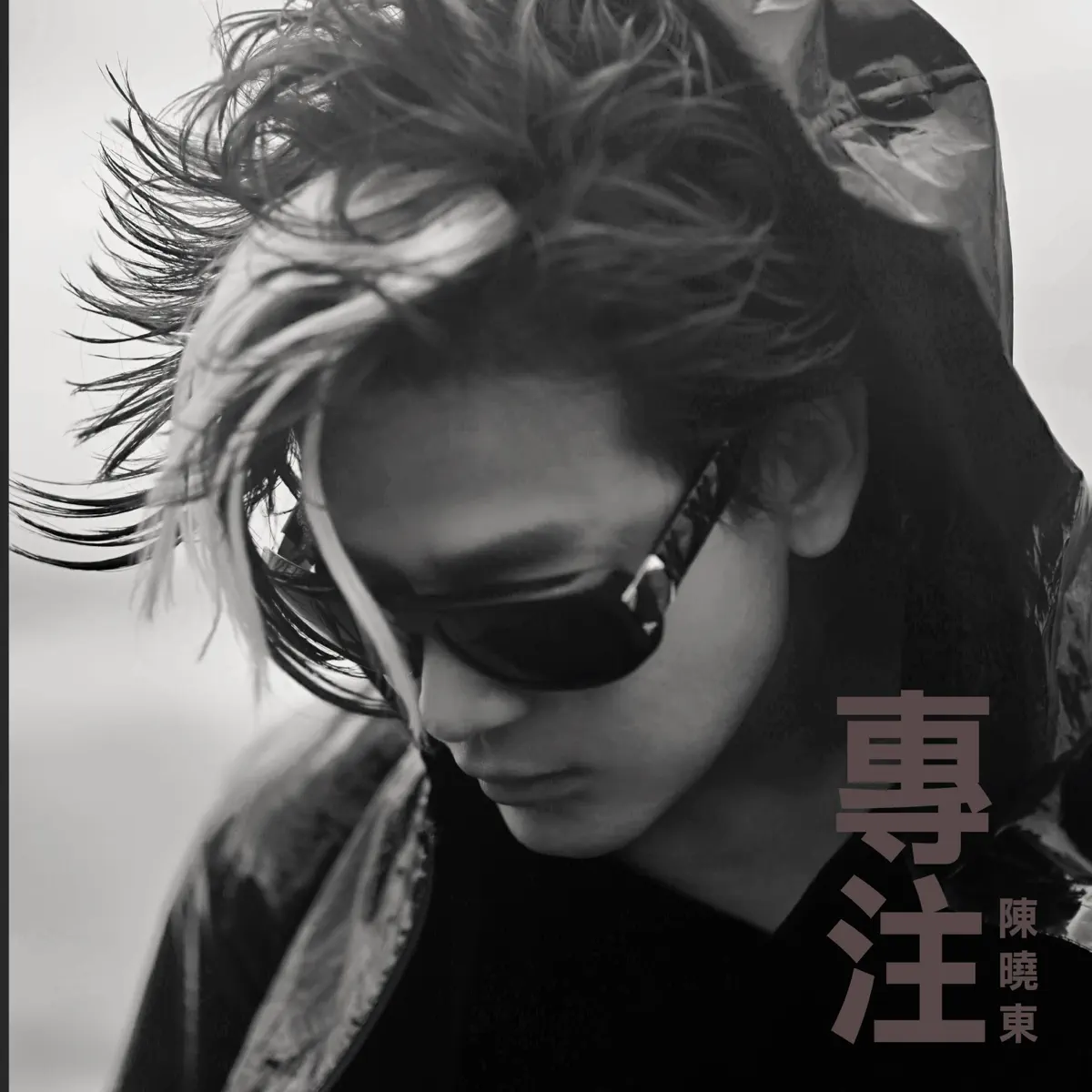 陳曉東 - 專注 - Single (2023) [iTunes Plus AAC M4A]-新房子