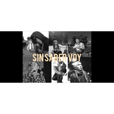 Sin saber Voy (feat. Chystemc, Inkognito & Ontoro) - Single