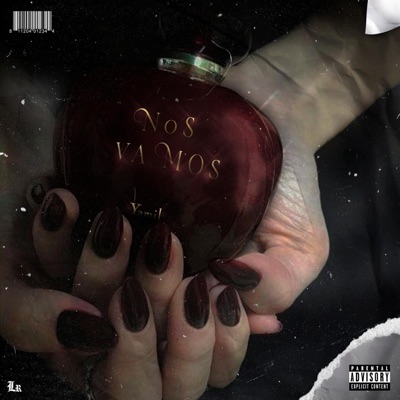 Nos vamos - Single
