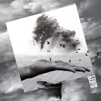 Enjoy the Playa - Single - Francesca Lombardo