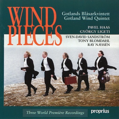 Wind Pieces