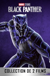Black Panther Collection De 2 Films